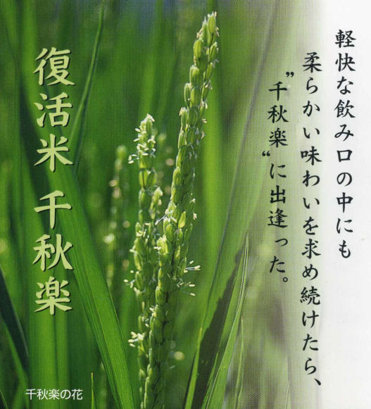 esshufotokome.jpgのサムネール画像