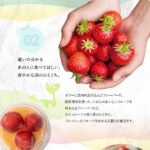 HOSHI-FRUITS01