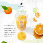 HOSHI-FRUITS01