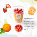 HOSHI-FRUITS01