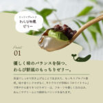 HOSHI-FRUITS02