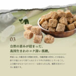 HOSHI-FRUITS02