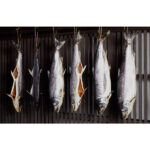 nagatoku-siobikisaake