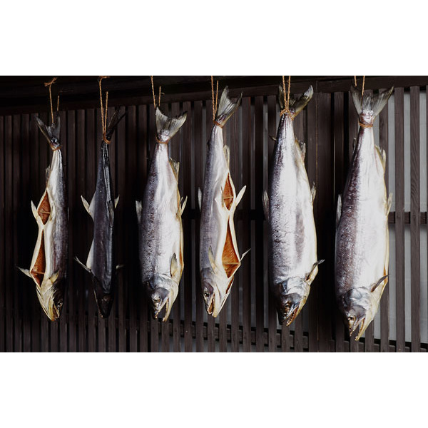 nagatoku-siobikisaake